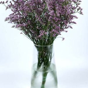 Λιμόνιουμ λιλά