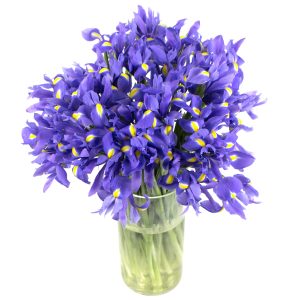 Blue Iris Flowers Bouquet