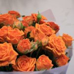 Τριαντάφυλλα πολυανθή