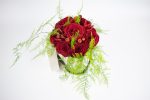 Κουτί με τριαντάφυλλα, rosa, πιπεριά και plumose