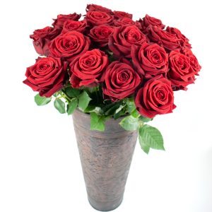 Red Roses